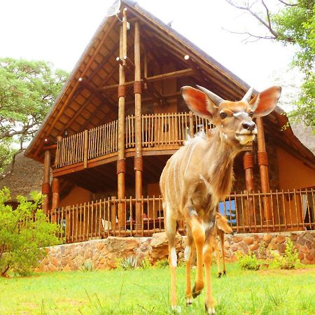 Kololo Game Reserve Vaalwater Eksteriør billede