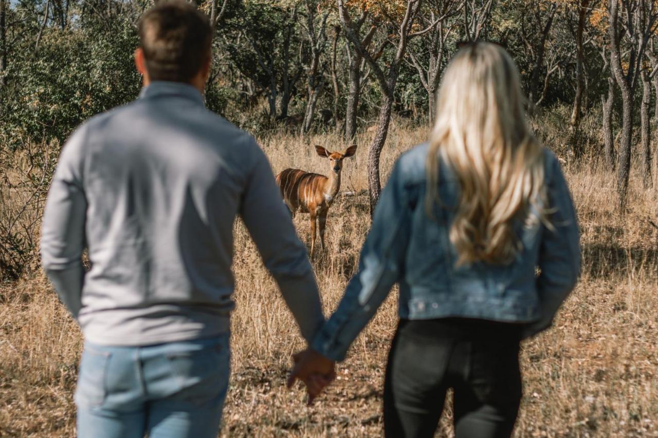 Kololo Game Reserve Vaalwater Eksteriør billede