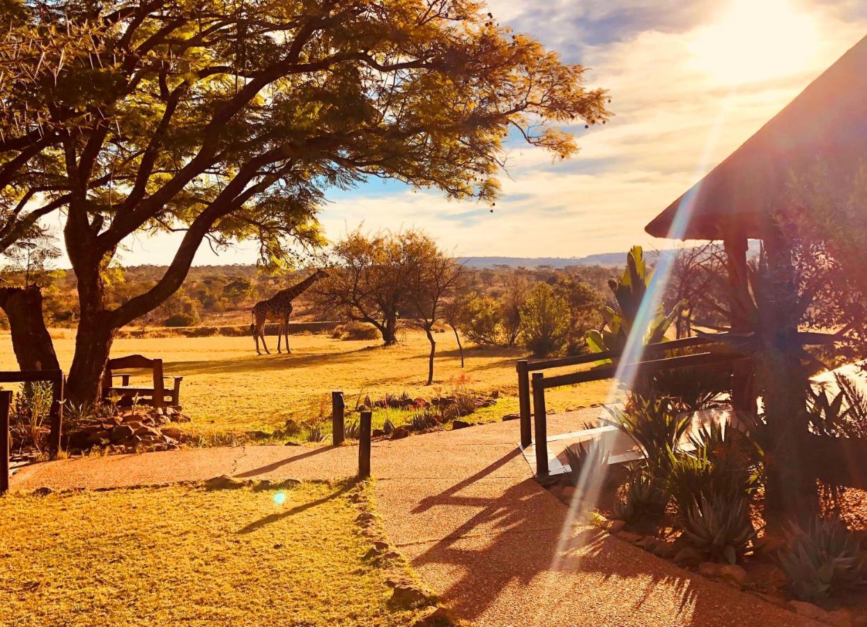 Kololo Game Reserve Vaalwater Eksteriør billede