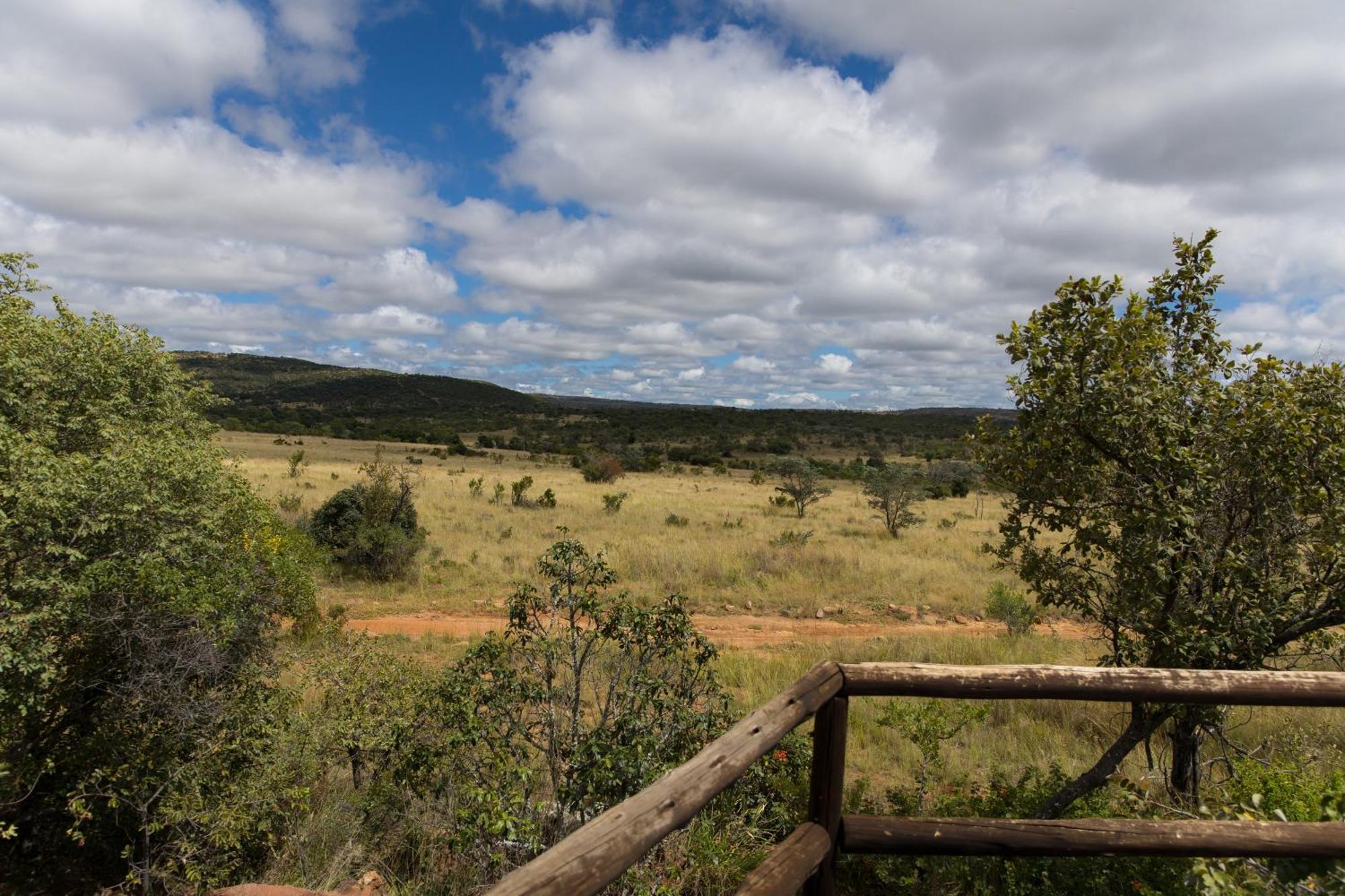 Kololo Game Reserve Vaalwater Eksteriør billede