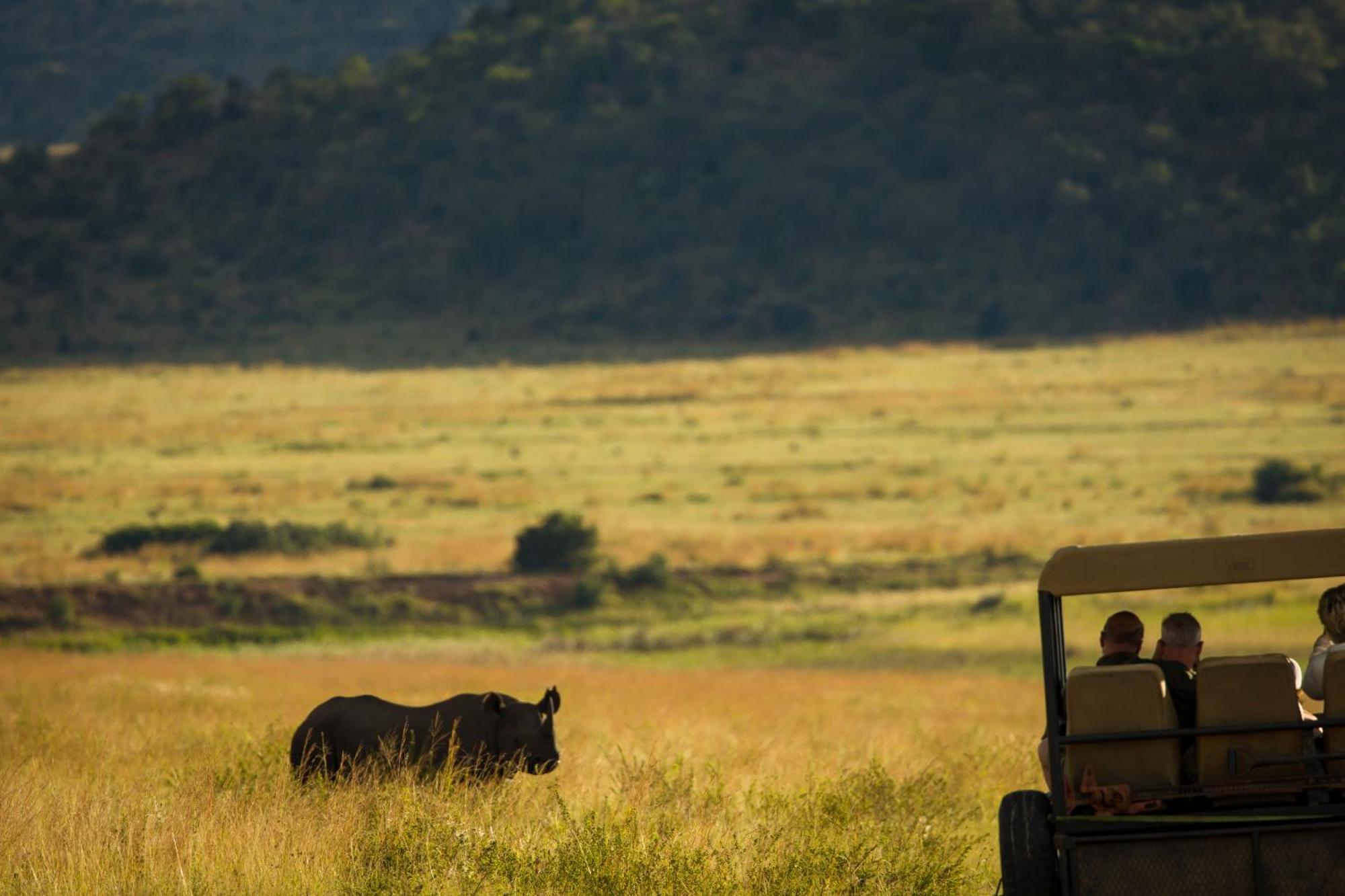 Kololo Game Reserve Vaalwater Eksteriør billede