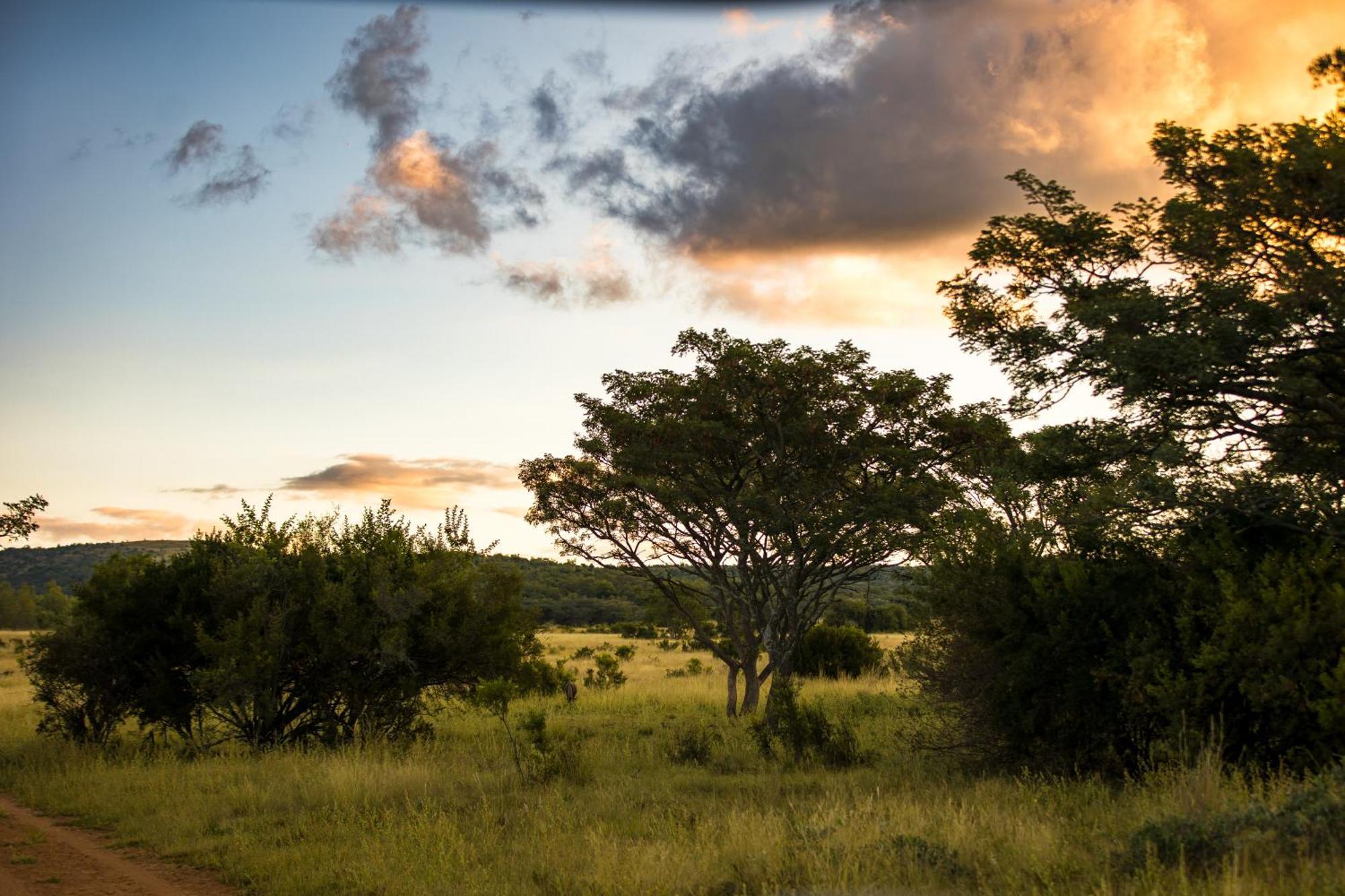 Kololo Game Reserve Vaalwater Eksteriør billede