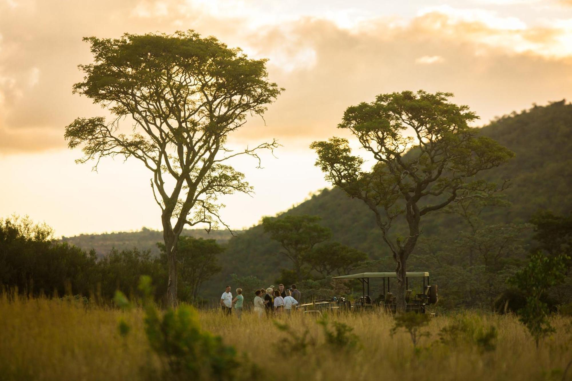 Kololo Game Reserve Vaalwater Eksteriør billede